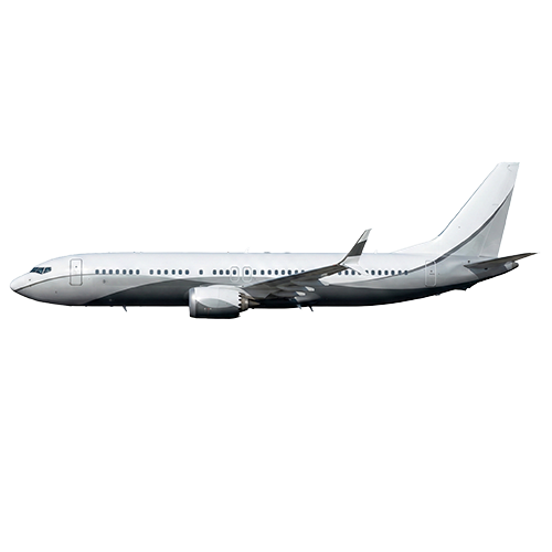 BBJ-787